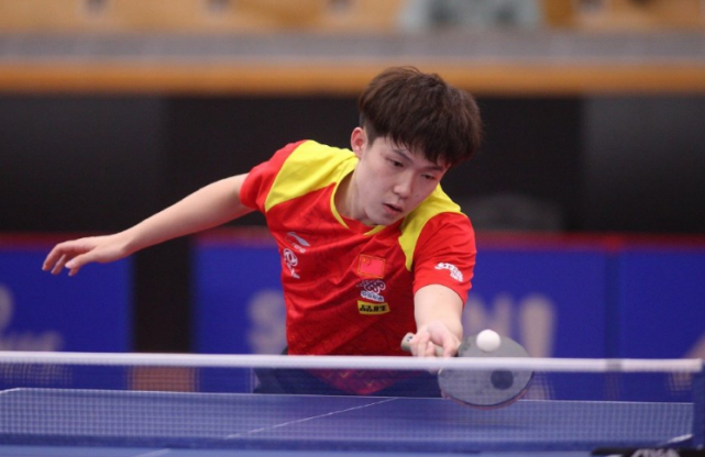 延展选项 延展选项