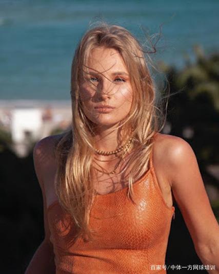 詹姆斯的篮 詹姆斯的篮