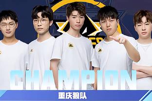 品牌与团队